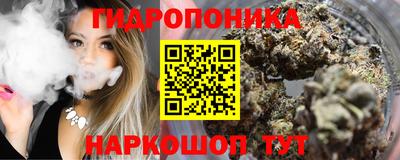 молекула духа Будённовск